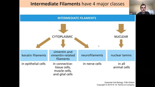 Cytoskeleton Part I