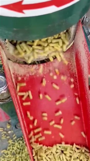 🌽 Knusning og formning af majs til små pellets 🔧 #MajsBehandling #PelletProduktion