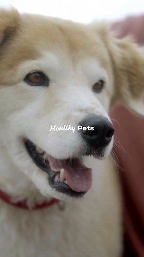 Purina regenerative farming for pet food | Purina Cares