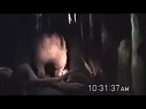 2000 Splash Mountain Ride-Through Recorded by InfaMOUSE (Disneyland)