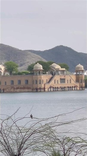 Jal Mahal & Albert Hall Museum Jaipur ✨ | Beautiful Day & Night Views of Jaipur, Rajasthan 🏰