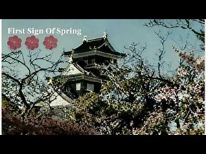 First Signs of Spring in Okayama 🌸| KoraKuen Garden Plum Blossoms & Okayama Castle