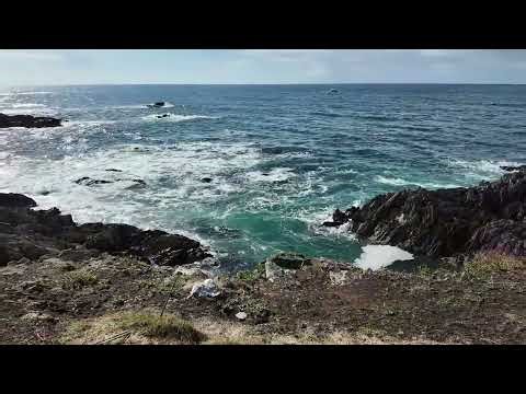 Part 5 of my Mini tour of Cornwall: A nostalgic return to Looe Island