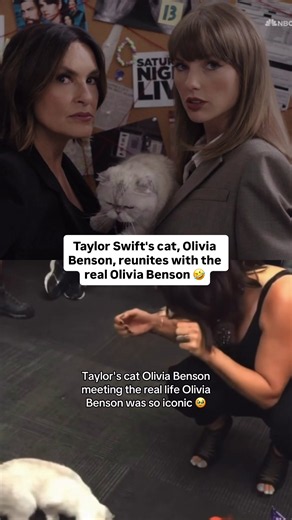 Last night during the Emmys, Taylor Swift surprised viewers with a cameo in a pre-recorded ‘SVU’ segment alongside Mariska Hargitay. Taylor's cat, Olivia Benson, also made a cameo in the skit. For those who don't know, Taylor named her cat after Mariska's character on SVU. 🤣 The Olivia's first met in 2015, which Taylor documented on her Instagram.