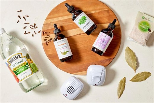 9 Natural Rat Repellents That Actually Work