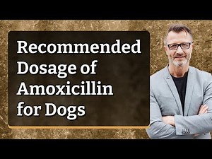 Recommended Dosage of Amoxicillin for Dogs