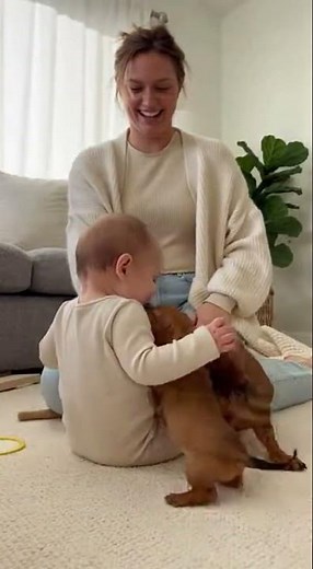 Mom Delivers 3 Wiener Puppies to Baby… Cutest Reaction Ever!