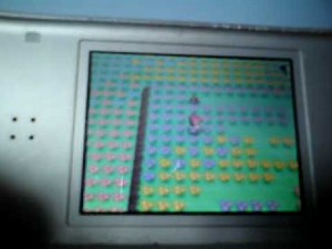 Pokemon Platinum Location Of 2 Rare Candies