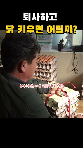 퇴사하고 닭 키우면 어떨까? | 배꽃유정란 | 행복한 농사꾼 | 월급너머의세계 | 동물복지