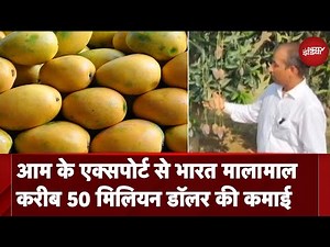 Mango Export से India की मोटी कमाई, लगातार बढ रही भारत के आम की मांग | NDTV India