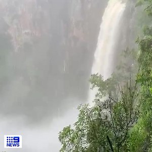 This afternoon's view of Purling Brook Falls at #Springbrook National Park! See the full story, 5.30pm on #9News | 9 News Gold Coast