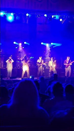 Here Come The Mummies Live - Pants