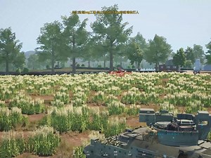 squad *QA*阿迷 bldl 透视