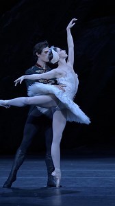 An oath beneath the moonlight 🤍🦢 In the White Swan Pas de Deux, Odette and Prince Siegfried fall in love by the lakeside, their duet carrying both the tenderness of first love and the shadow of a curse. A perfect pairing shaped by longing and fragile hope, it captures the essence of Swan Lake, where love and enchantment intertwine against Tchaikovsky’s luminous score. 🎥 Lauren Cuthbertson and William Bracewell | Royal Ballet And Opera