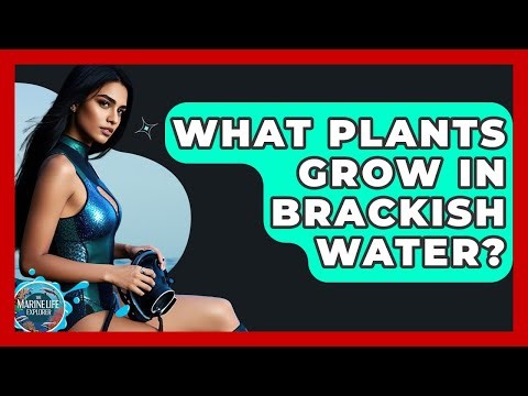 What Plants Grow In Brackish Water? - The Marine Life Explorer
