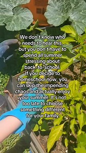 4.7K views · 20 reactions | No better time than now to make the call! Plus, now through June 20 you can buy a curriculum for one child, and get a second curriculum of equal or lesser value free. One for the kid who asked nicely. One for the kid who didn’t. It's called balance, okay!? Claim yours now  www. time4learning.com #homeschool #homeschoolsummer #homeschoolmom #parenting #schoolchoice #Time4Learning | Time4Learning | Facebook