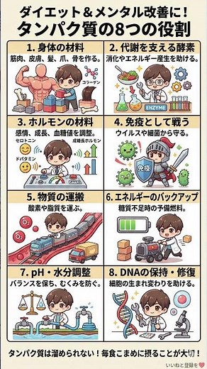 【栄養学の基本】タンパク質不足が心身を壊す？ダイエットやメンタル改善に必須な「8つの驚くべき役割」