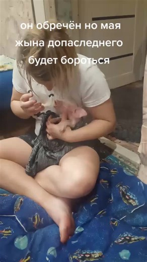 Caring for a Piglet: Feeding Tips and Insights