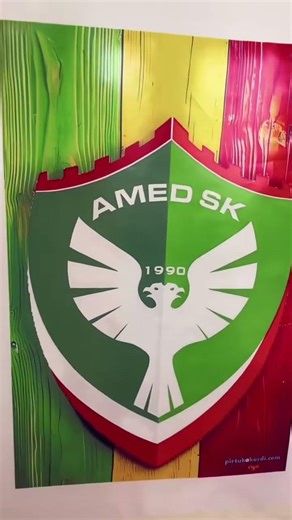 Extreme Close-Up: Vibrant 3D Logo Wall Printing | Hanjie UV Printer Demo 🦅🎨 #hanjiewallprinter