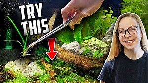 5.5K views · 305 reactions | If you're starting a new planted tank (or want to level up an existing one), try these simple 10 hacks that will make your aquarium stand out and look impressive. #AquariumCoop | Aquarium Co-Op | Facebook