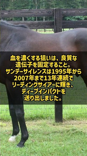 Why did Sunday Silence's 3x4 run so well? The secret behind his miraculous blood volume #Shorts