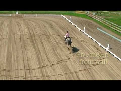 15m Circle - 40 Fundamentals of English Riding