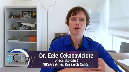 Real World: Small Systems Count - Cells in Space - NASA Science