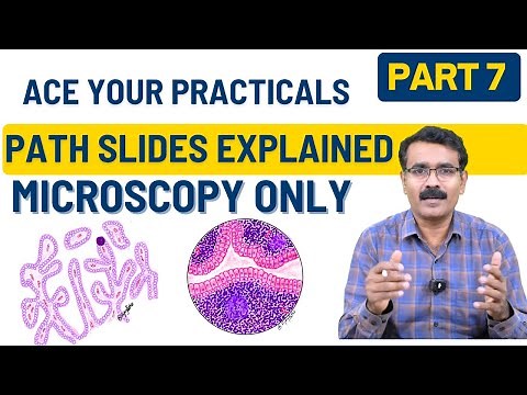 Microscopy Made Easy – Part 7: Quick Revision of Common Pathology Slides | Dr. Vijay Shankar