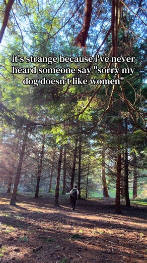 Understanding Dog Behavior: What to Know as a Pet Owner