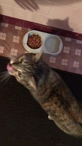 35 reactions · 24 shares | Not 1 application for June, not 1 ...