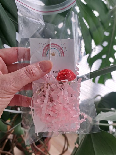 örüp unuttuğum minik mantarım için dün sipariş geldi😍 minyatür amigurumilerin neden daha az ilgi gördüğünü hala anlamış değilim. tam anlamıyla koleksiyonluk ürünler👌 örmesi ise ayrı keyifli❣️ #minyatür #mantar #minyatüramigurumi #mashroom #crochetlove