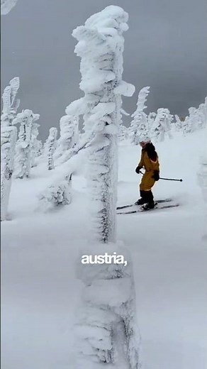 Japan has over 500 ski resorts — more than any country on Earth. 15 meters of snow, $40 day passes,
