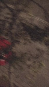 The gates to another dimension have opened They're here 😱😰 #creature #alien #anotherdimension #originalcontent #scary #horror #halloween #creepy #spooky #horrormovies #art #ghost #horrorfan #haunted #october #scarystories #dark #horrorart #horrormovie #paranormal | Scary Ghost