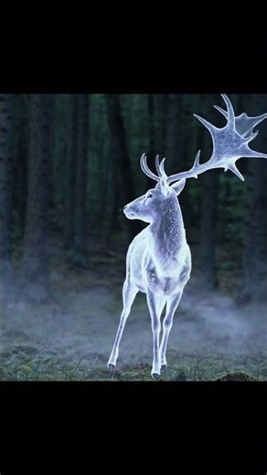 The Majestic Stag Patronus ✨ | Expecto Patronum Magic!