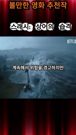 파리 센 강에 거대 상어 등장?! 상어보다 무서운 인간의 욕심