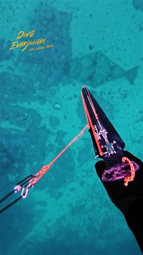 Whopper halibut | Daniel Mann - Dive Everywhere