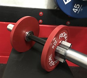 Rogue DB-15 Loadable Dumbbell Review | Garage Gym Reviews