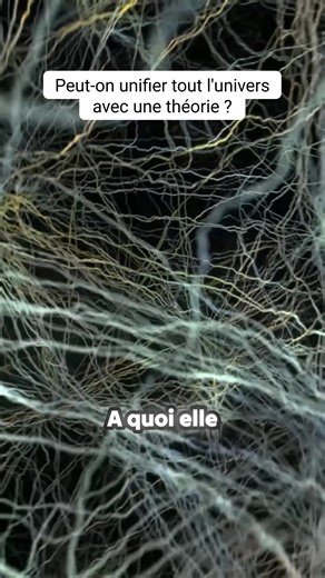 Imaginez un univers où tout, de la lumière à la gravité, ne serait que la vibration d'une seule et même corde. C’est la promesse fascinante de la théorie des cordes, cette tentative audacieuse de réconcilier enfin la relativité générale et la mécanique quantique. Une vision unifiée du cosmos, élégante mais encore entourée de mystères mathématiques profonds. Est-ce la clé ultime pour décoder la réalité ou une simple spéculation scientifique ? Plongée au cœur de l'une des théories les plus complex