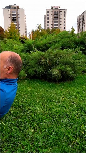 Dacă faci abdomene zilnic, dar burta tot nu pleacă, problema nu e la tine — ci la cum funcționează corpul tău. Abdomenele întăresc mușchiul, dar nu ard grăsimea de pe abdomen. Grăsimea se reduce doar când corpul tău intră în deficit caloric și când îți echilibrezi hormonii, stresul și alimentația. De aceea, poți face 200 de abdomene pe zi… și tot să nu vezi abdomenul sub stratul de grăsime. Ce să faci în schimb, ca să slăbești în zona abdominală: 1️⃣ Creează un deficit caloric simplu și sustenab