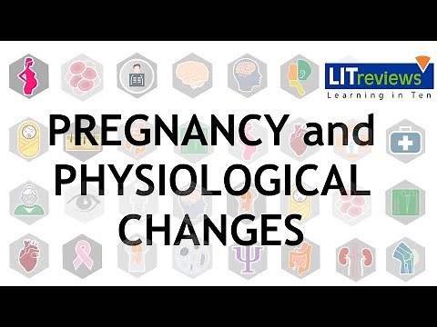 Physiological Changes during Pregnancy