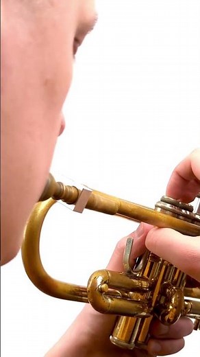 T.E.T. - TRUMPET EMBOUCHURE TRAINER