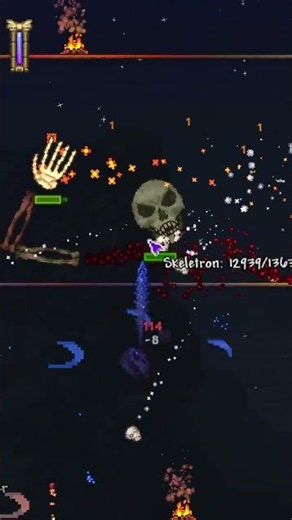 How We Defeated Skeletron!