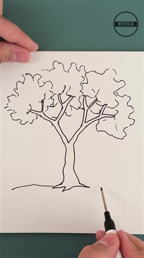 Entice Studio on Instagram: "How to Draw a Simple Tree #easy #creative #tree #drawingart"