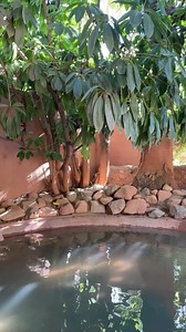55 reactions | Club Mud - the perfect blend of geothermal therapy and red clay rejuvenation! Discover it all in our expert video. 癩 | Glen Ivy Hot Springs | Facebook