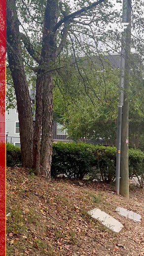 HOME INVASION: Dekalb County Police are searching for three suspects wanted in a home invasion that led to the shooting death of a 36 year-old woman in Decatur. The disturbing crime was caught on Ring doorbell video. Alani Letang News has the latest. | Atlanta News First