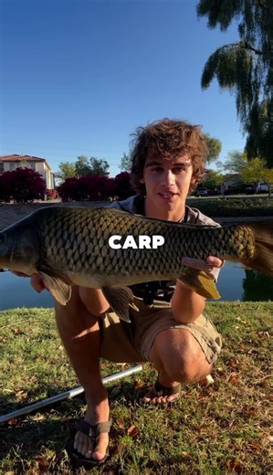 Fishing for a 10 POUND Fish 🐟🎣