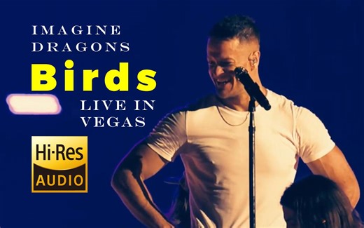 【HiFi音乐现场】Birds - Imagine Dragons 梦龙乐队 演唱会现场 Live in Vegas 高品质 HiRes 4K