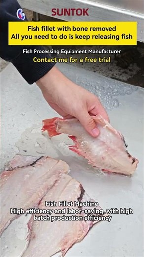 Fish Filleting Machine for Redfish