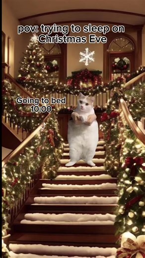 Almost christmas #catmeme #catmemes #memecut #mem #christmas #cattok #xmas #fyp