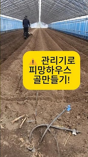 피망하우스 골만드는 방법 #피망하우스 #골켜기 #평창엄마네 #관리기